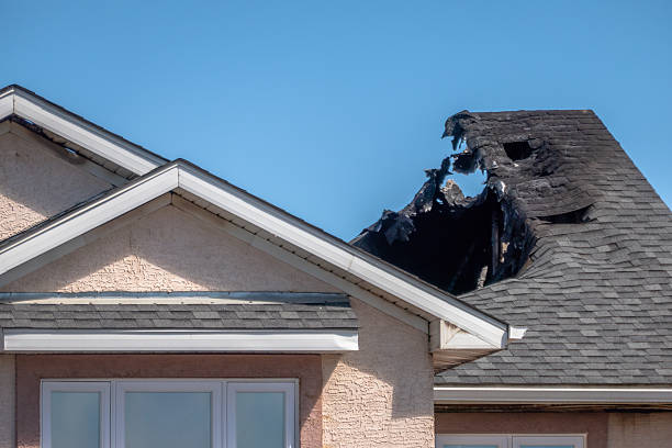 Top rated local Odor Removal specialists in Glenolden, PA